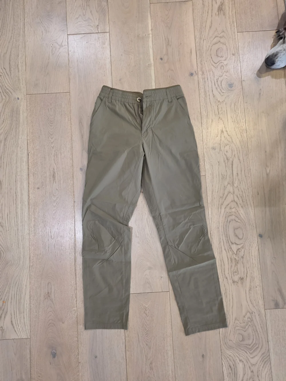 Kuhl Men's Chinos in Olive Green